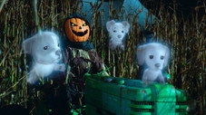 Un Halloween plein de fantaisie