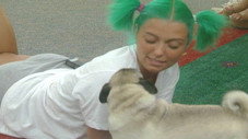 Épisode 36