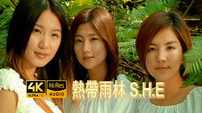 Épisode 13