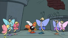 Le bal des papillons