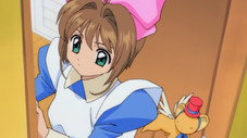 Sakura a disparu