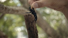 Épisode 4
