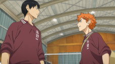 Le club de volley-ball de Karasuno