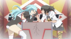 Lovely Sumo Butts