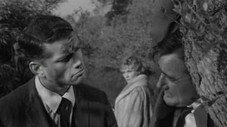 The Deadly Decoy Affair