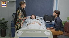 Épisode 33
