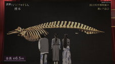 Épisode 11
