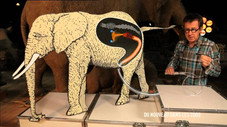 Du nouveau dans les zoos