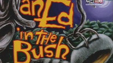 An Ed in the Bush