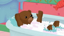 Petit Ours Brun prend son bain