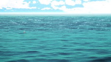The Endless Summer