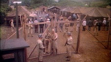 Forty Years From Sand Island