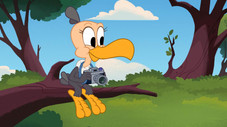 Buzzard, vous avez dit Buzzard ?