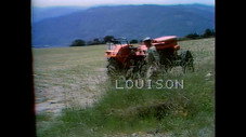 Louison