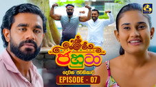 Épisode 7