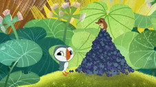 Où est Bernard ? / Un jour de brouillard / Cours, bats des ailes, et vole !