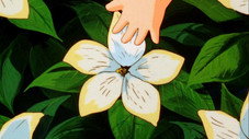 Dites-le avec des fleurs