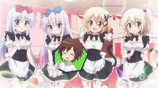Le Kisa Kissa de Kisaki
