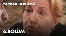 Épisode 6