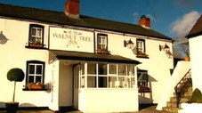 Le Walnut Tree