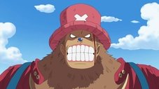 Incontrolável! O Barulho Proibido de Chopper!
