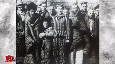 Épisode 12