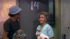 Épisode 15