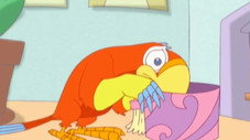 Épisode 50