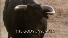 Épisode 2