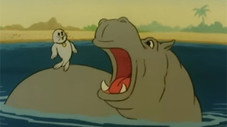 Safari