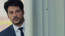 Épisode 31