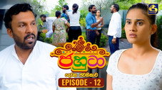Épisode 12