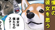 Épisode 55