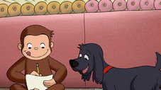 Épisode 5