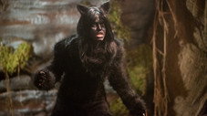 Épisode 9