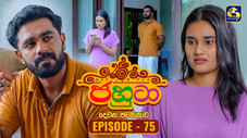 Épisode 75