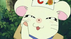 Le festin de Chef-ham