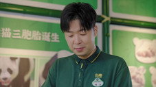 Épisode 6