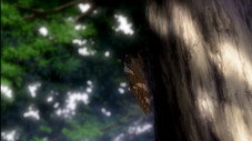 Épisode 9