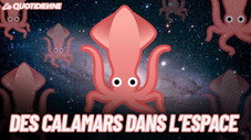 Des calamars dans l’espace