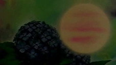 Un amour inconstant