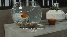 Épisode 12