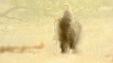 La légende du bison blanc