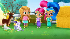 Épisode 19