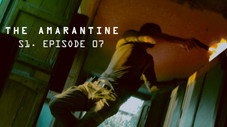 Épisode 7