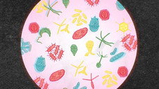 Notre microbiote nous domine-t-il ?