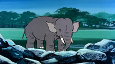 Un de nos Eléphants a Disparu