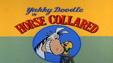 Horse Collared