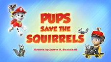 Pups Save the Squirrels