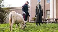 Patrulha do Burro